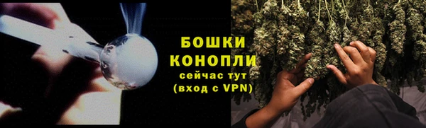спиды Аркадак