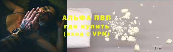 спиды Аркадак