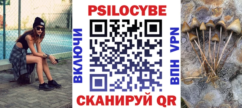 как найти наркотики  Ельня  Псилоцибиновые грибы Magic Shrooms 