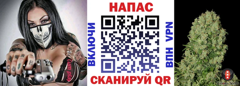 Марихуана план  даркнет какой сайт  Ельня 